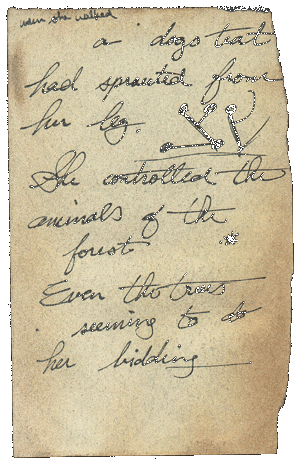 A piece of the Blair Witch Cult Book