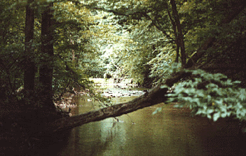 The mysterious creek